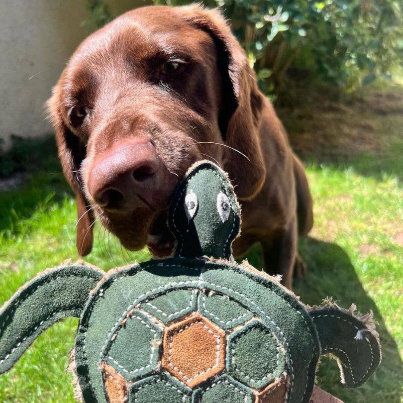 Eco Dog Toys By Miro & Makauri - Tara Turtle