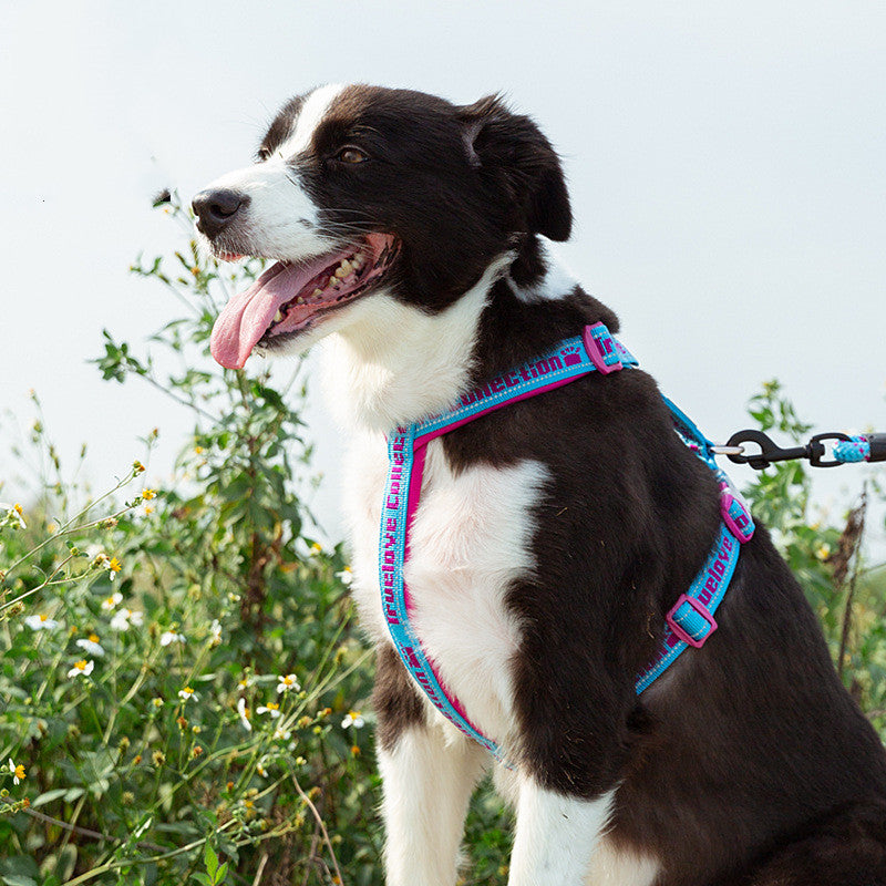 Tactical Comfort Reflective Dog Harness