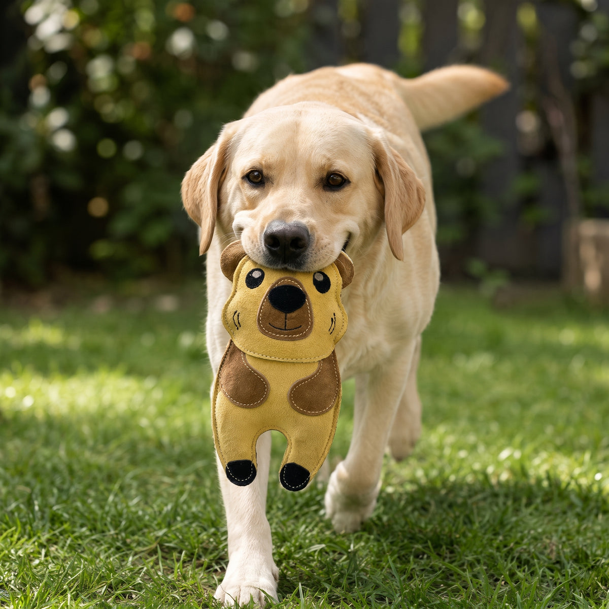 Eco Dog Toys By Miro & Makauri - Carlos Capybara