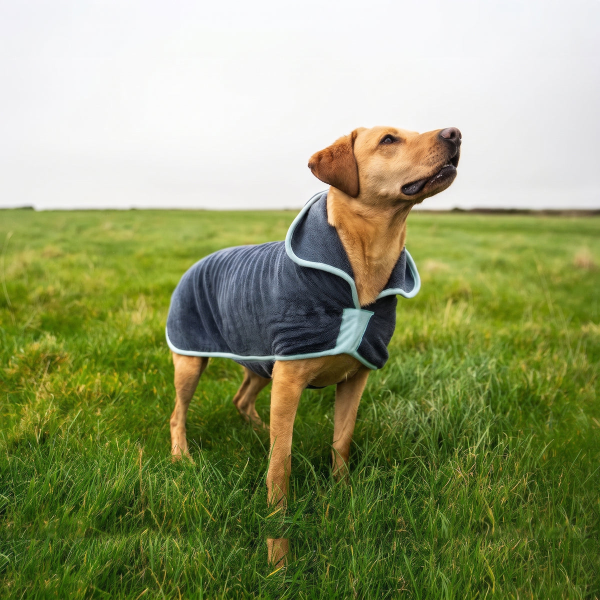 Henry Wag Microfibre Drying Coat