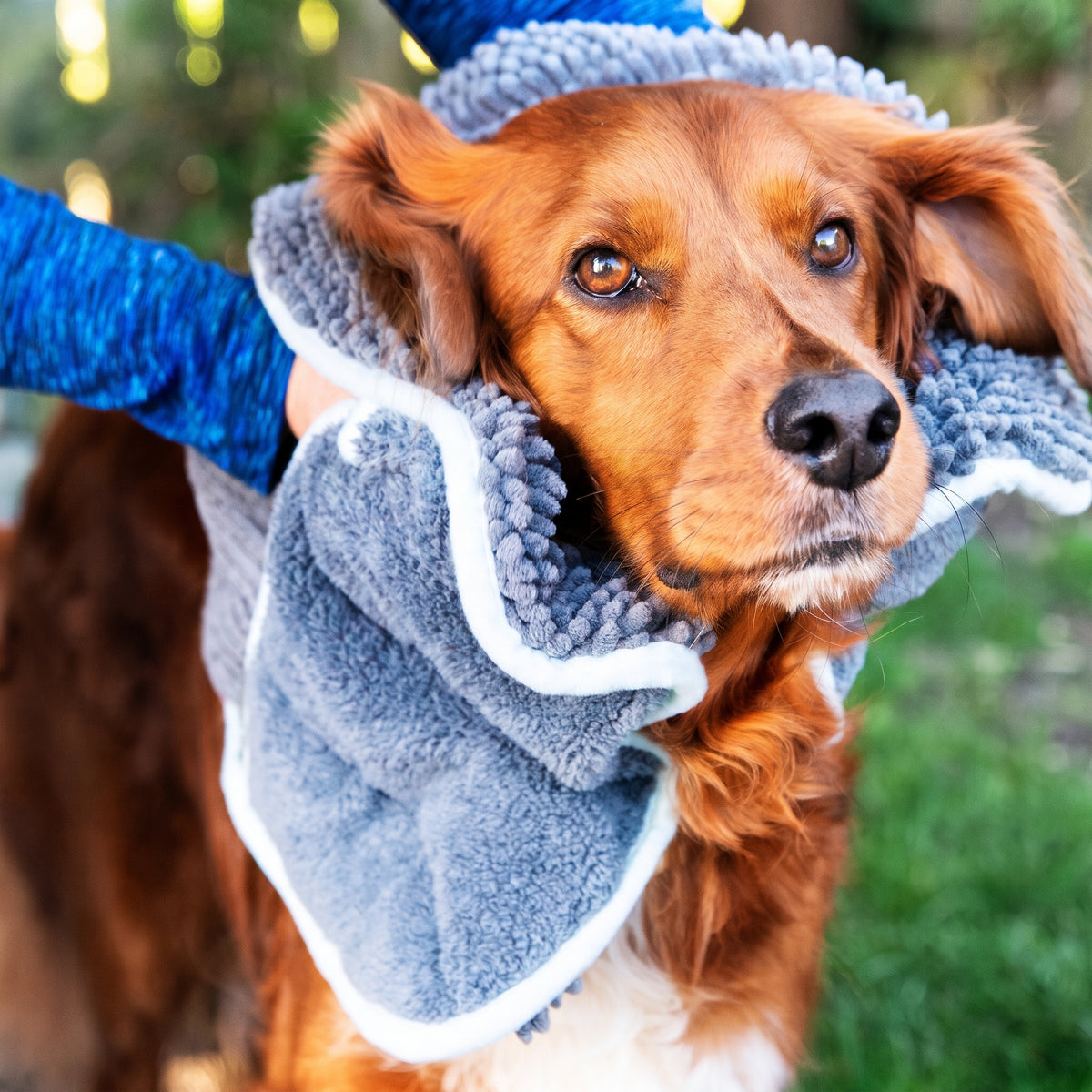 Henry Wag Noodle Glove Towel