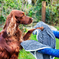 Henry Wag Noodle Glove Towel