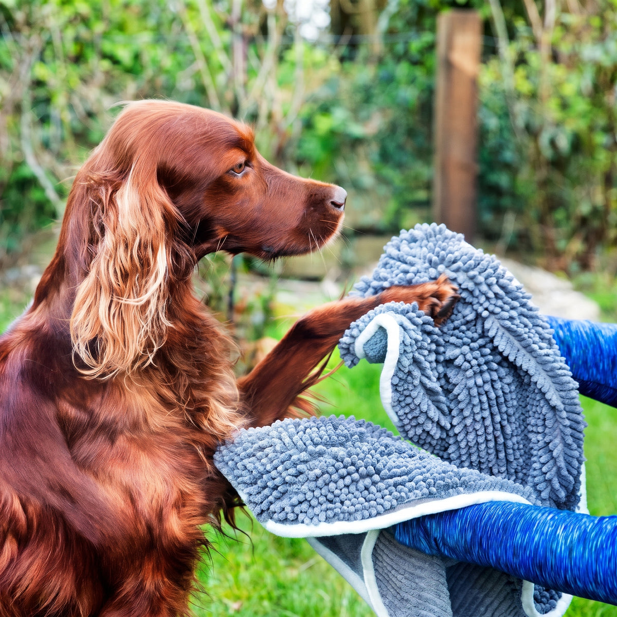 Henry Wag Noodle Glove Towel