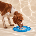 Slow Feeder Mat for Dogs