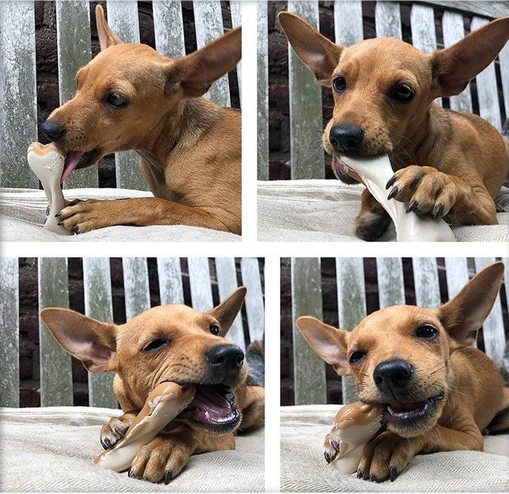 Maks'Patch Peanut Butter Dual Bones 5 pack bundle🦴