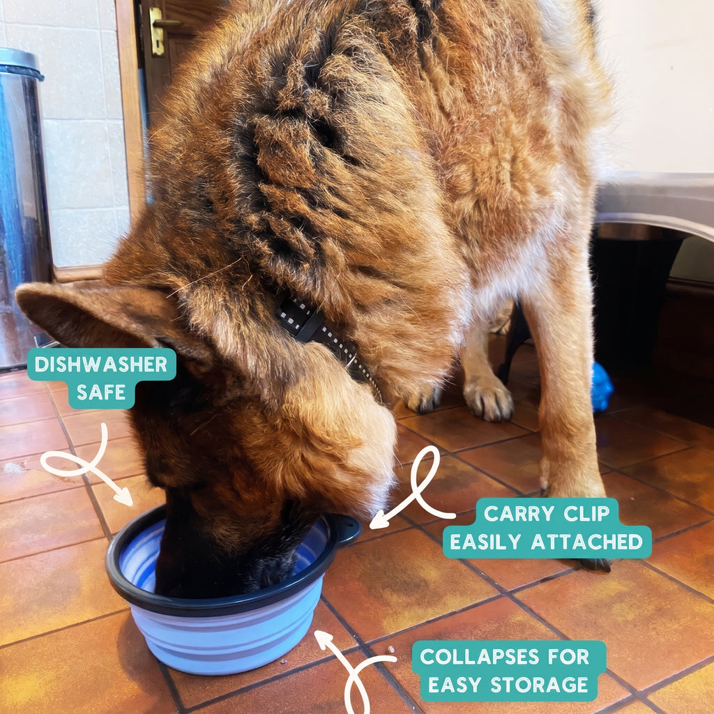Henry Wag Travel Bowl