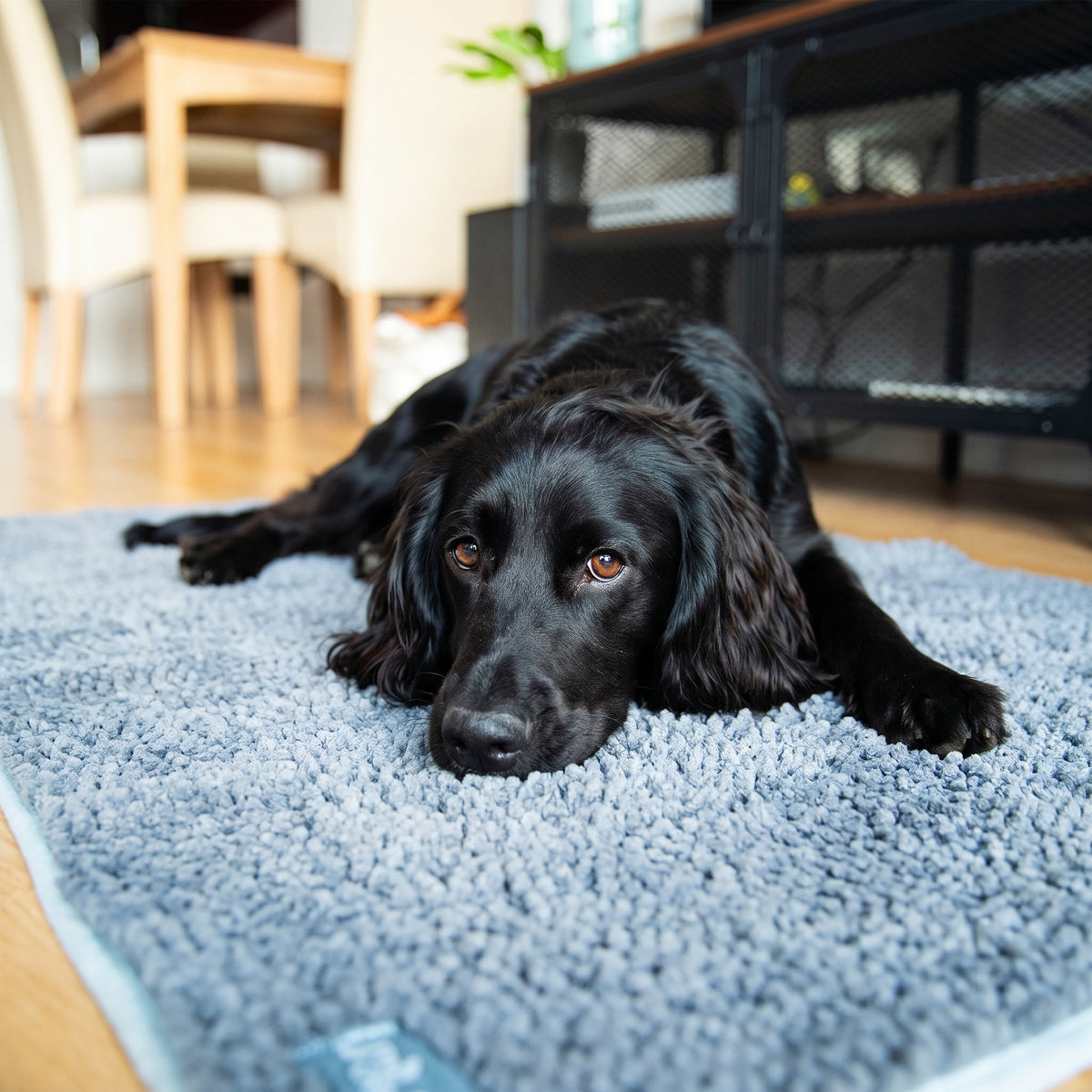 Henry Wag Microfibre Noodle Pet Mat