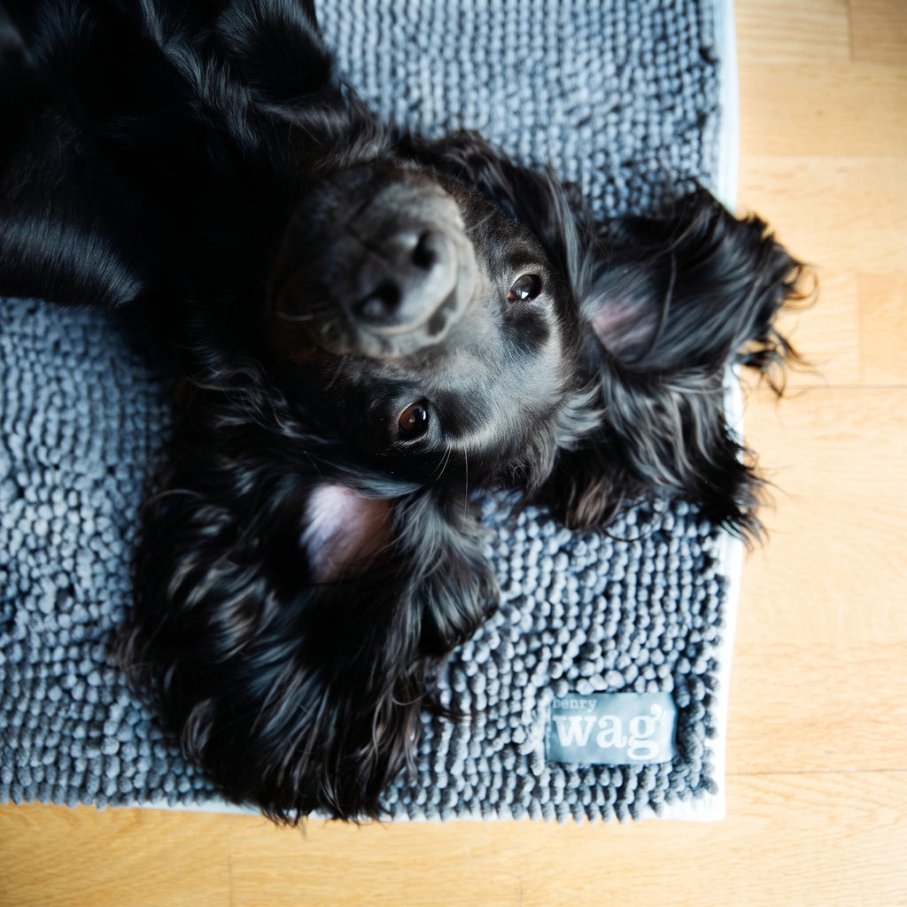Henry Wag Microfibre Noodle Pet Mat