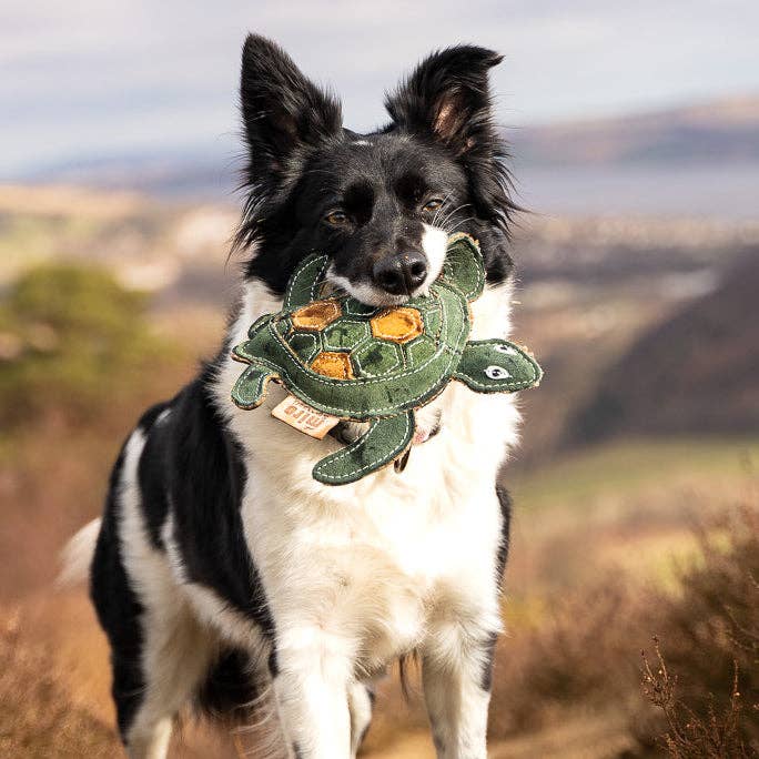 Eco Dog Toys By Miro & Makauri - Tara Turtle
