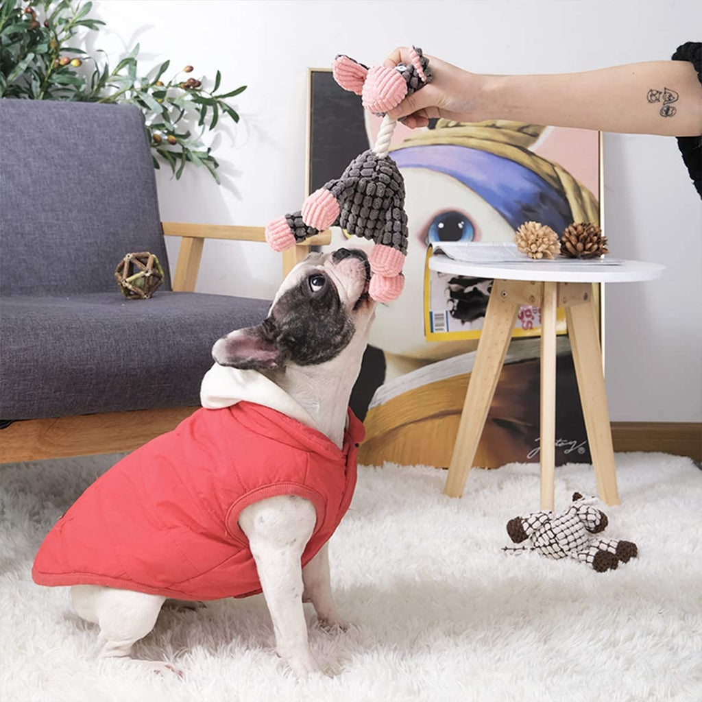 ChewSafe Plush Dog Toy