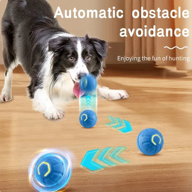 Bouncy ChargeUp Pet Play Ball