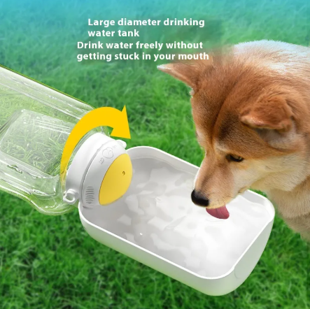 Pet Hydration & Snack Duo Bottle