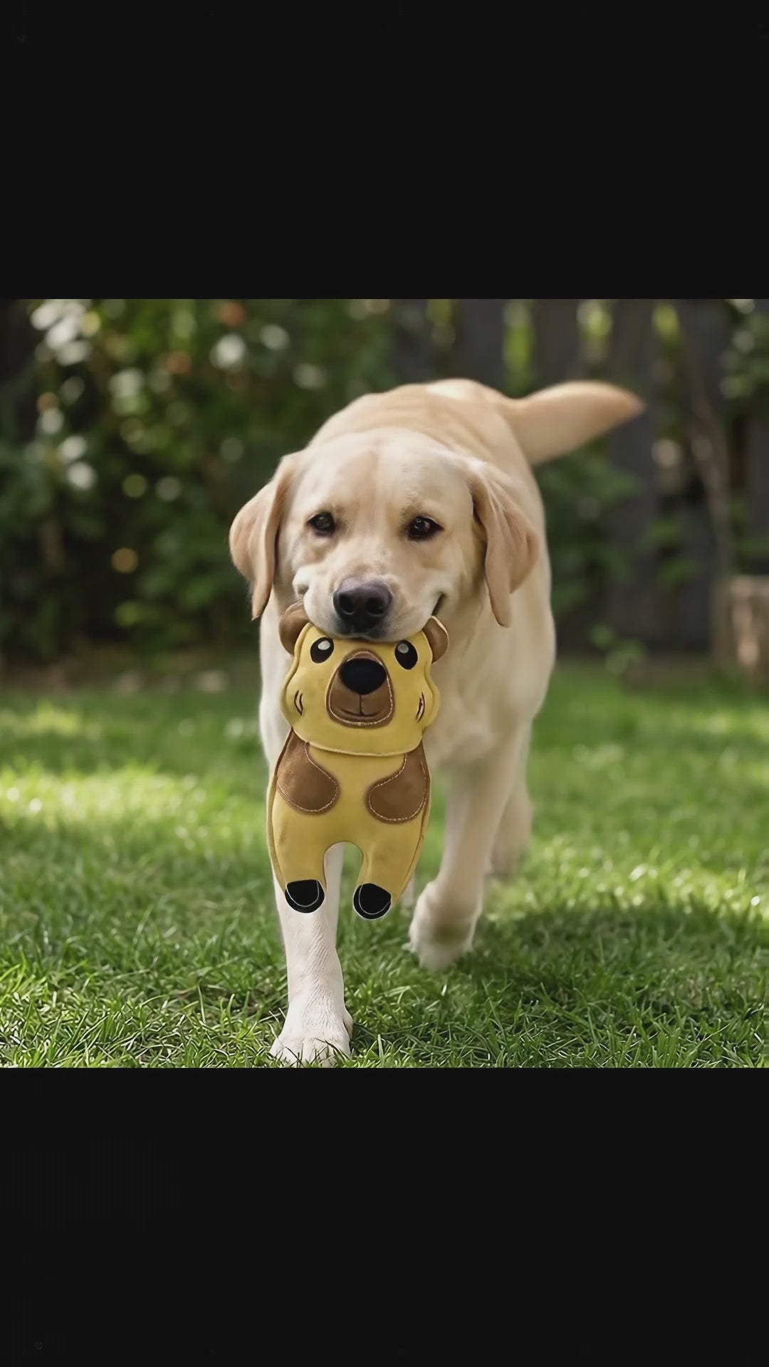Eco Dog Toys By Miro & Makauri - Carlos Capybara