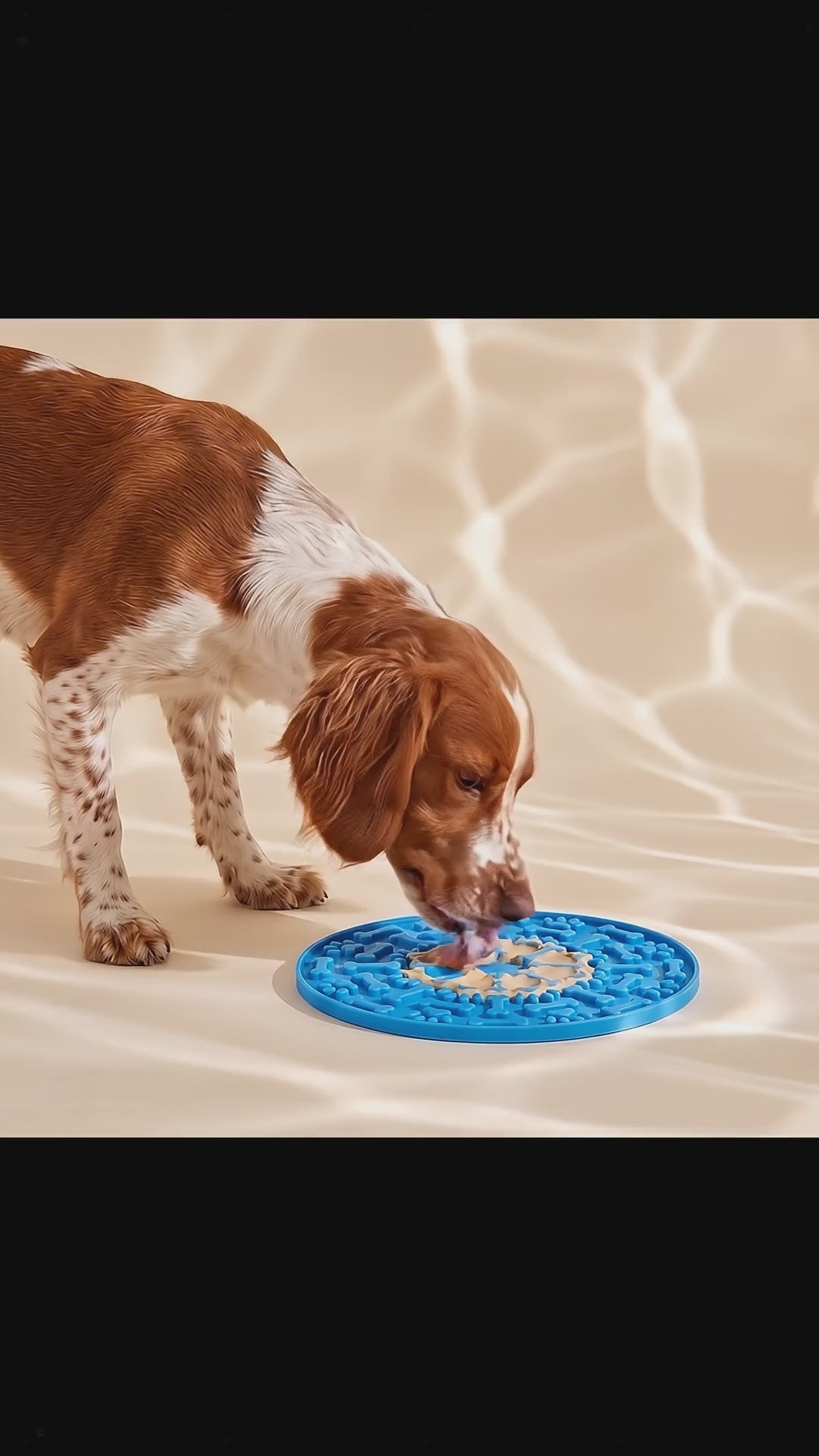 Slow Feeder Mat for Dogs