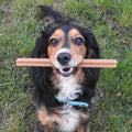 Vegan Dog Treats - Fruit & Veg Star Sticks - added Coconut Oil - 5 pack bundle